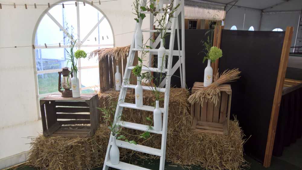 WP_20170825_17_38_27_Rich