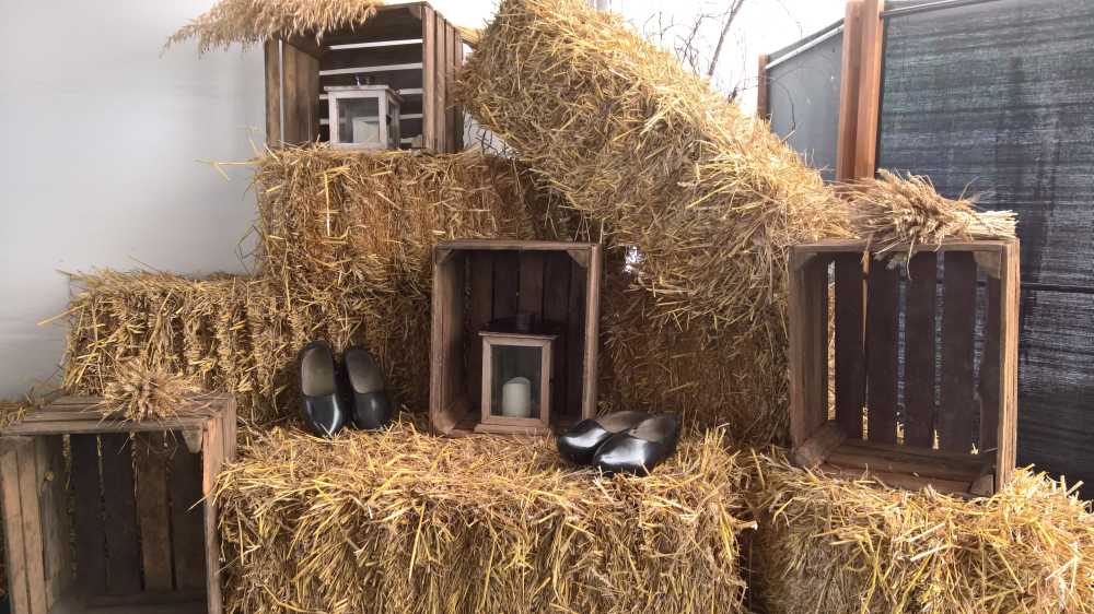 WP_20170825_17_41_14_Rich