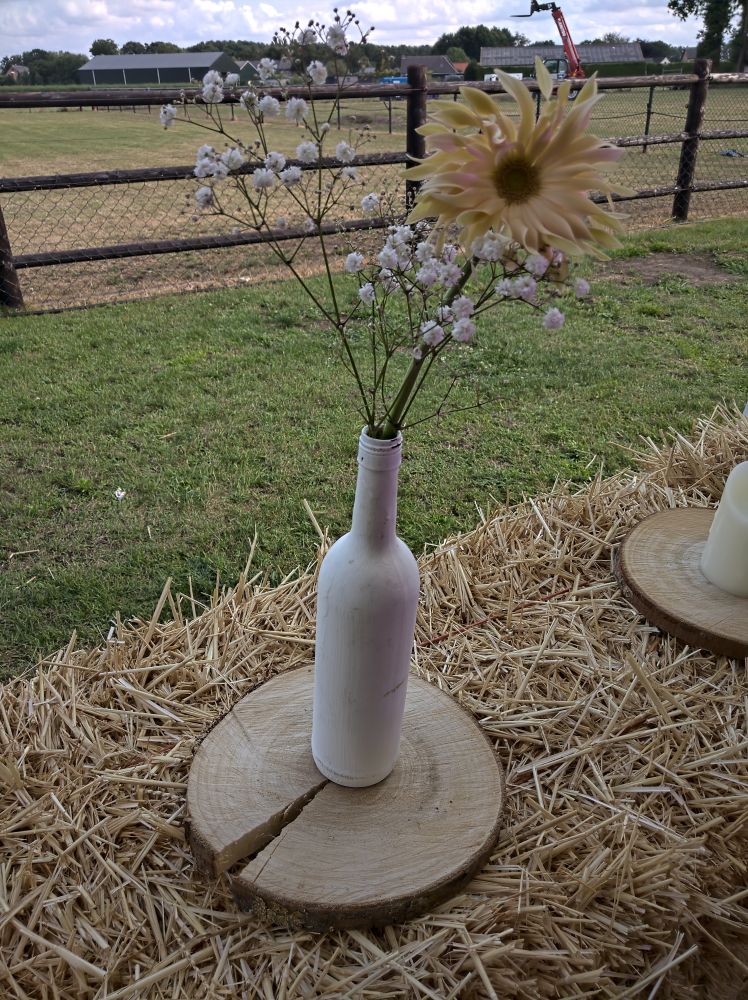 boerenbruiloft-20190712-183228