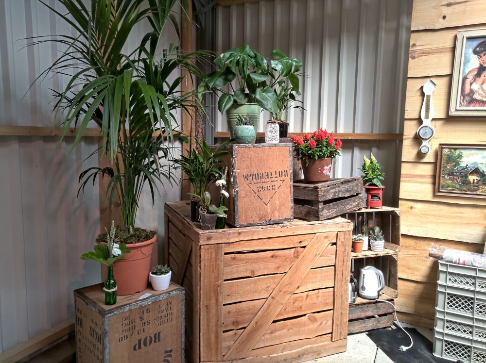 amerikaanse-sfeer-20190629-150204