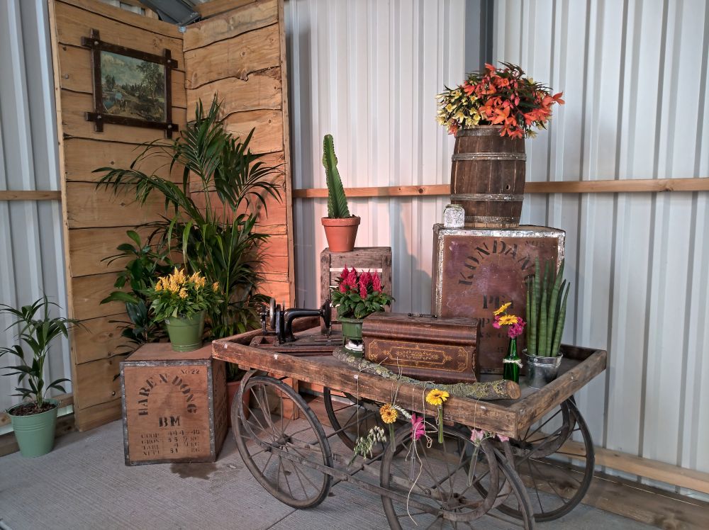 amerikaanse-sfeer-20190629-150237